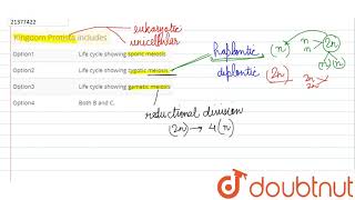 Kingdom Protista includes