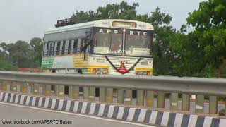 నెల్లూరు-బుచ్చి తెలుగు వెలుగు బస్సు| NELLORE-BUCHI TELUGU VELUGU BUS APSRTC HIRE BUS.