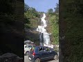 cheeyappara waterfalls adimali kerala shortvideo sijothondam