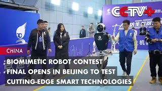 Biomimetic Robot Contest Final Opens in Beijing to Test Cutting-Edge Smart Technologies