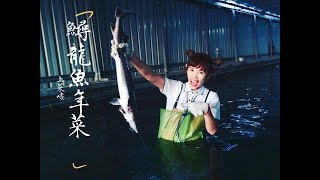 【 楚庭tv錄影中】啥?膠原蛋白營養高🐟八卦山泉水養殖鱘龍魚🐟,怎那麼平價啦!