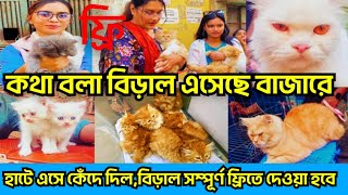 কথা বলা বিড়াল এসেছে বাজারে।mirpur 1 cat hat।।persian cat price in bangladsh।cat price in bangladsh