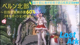 LOST ARK(ロストアーク)  超々初心者が遊ぶ成長記録#44