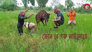 Konte goru ailore || Funny video 2023