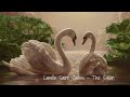 camille saint saëns the swan by volker madert