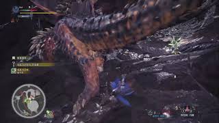 [MONSTER HUNTER  WORLD] 폴배시 한손검 연습 플레이 영상