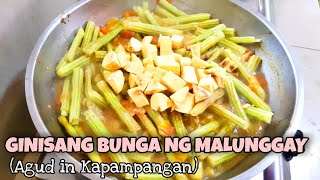 AGUD KAPAMPANGAN RECIPE || GINISANG BUNGA NG MALUNGGAY