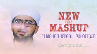 SAYYID THWAHA THANGALL PUKOTTOOR | MASHUP | ത്വാഹാ തങ്ങളുടെ കിടിലൻ മാഷപ്പ് | MADEENA MALAR