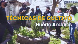 Ecología Práctica| Formas y algunas técnicas de cultivo en el huerto