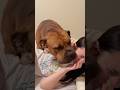 Sully steals some kisses