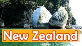 Abel Tasman National Park & Nelson, New Zealand travel guide