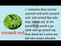 पावसाळ्यात खा या रानभाज्या mansoon food tips health tips in marathi