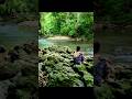 We took on a little adventure to a hidden waterfall in small‑town Ohio… and it was so worth it.
