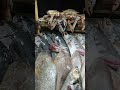 sea food in cox bazar seafood sea youtubeshorts travel love shorts