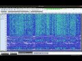 elf sound 18 01 2025 start16 53 ut 3h 48h30m accelerated 1000 times 1 hz = 1000 hz