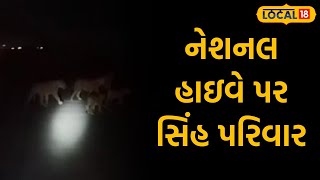 Gir Somnath News: સોમનાથ નેશનલ હાઇવે પર અચાનક આવી પહોંચ્યો સિંહ પરિવાર |#local18