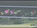 マヤノトップガン 1995年 第56回菊花賞 gi 優勝馬：マヤノトップガン 実況：ラジオたんぱ版