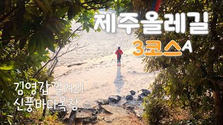 제주 올레길 3(A)코스 | 오름과 바당올레가 조화로운 올레길🚶‍♀️