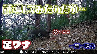 獲れるまで、やってみます。