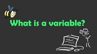 What is a variable in Programming?
