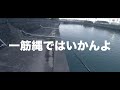 1日ビッグベイトを投げ倒した結果・・・【シーバス】【ガンクラフト】【ジョイクロ】