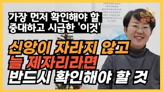 179. 신앙이 자라지 않고 항상 제자리라서 답답했던 분들 꼭 보세요. 가장 먼저 확인해야 할 중대하고 시급한 질문이있습니다.,