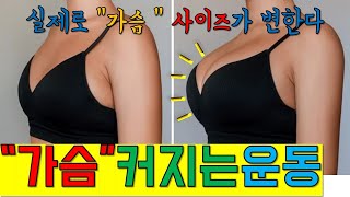 가슴 커지는 운동의 숨겨진 진실. 실제로 운동으로 가슴이 커질까?