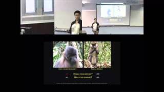 Individual motivations for participating in primate intergroup conflicts