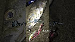 投げて巻くだけで魚が釣れる！超おススメルアーのご紹介♪