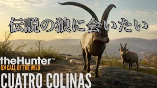 🔴王の狩場として知られるクアトロ・コリナス【The Hunter: CALL OF THE WILD】PS版