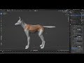 first render blender timelapse meerwolfrenders