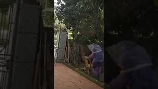 Vui Thôi xem cấm cười || Please stop watching laughs