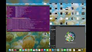 Patch 30 testing LibreOffice Basic IDE Object Browser Disposing Issue