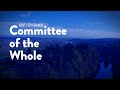 Committee of the Whole – April 13, 2021