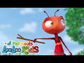 Aprendendo com As Formigas e Outras Aventuras Musicais | LooLoo Kids Português 🐜✨