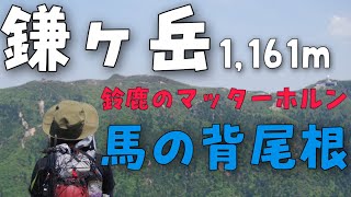 【登山#9】ご存じですか？鎌ヶ岳『馬の背尾根』！！やっぱり登山は尾根に限る！！