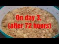 How to brew homemade pineapple beer in 3 days/Ekasi Homebrew Pineapple beer S.Africa easily &cheaper