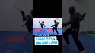 中國劍 對打 Chinese Sword Highlight