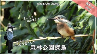 #65【森林公園探鳥】カワセミとのんびりまたり過ごした野鳥撮影Vlog♪｜カワセミ｜スズメ｜カルガモetc…