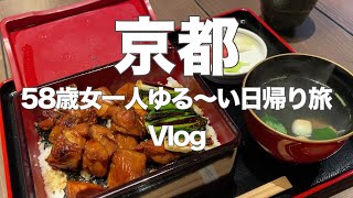 【京都Vlog】グルメランチと岡崎周辺を巡る大人のひとり旅