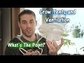 What Grow Tents Are For and How to Ventilate (For Beginners)