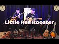 Little Red Rooster (Howlin' Wolf, The Rolling Stones) | THE TICKETS