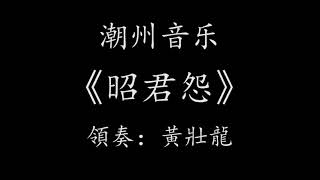 Teochew Music 潮州音乐潮州音樂潮樂【最新專輯】潮州弦詩樂《昭君怨》重六、領奏：黃壯龍、演奏：汕頭市潮樂傳承保護中心