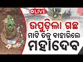 🔴 LIVE | ଉପୁଡ଼ିଲା ଗଛ....ମାଟି ତଳୁ ବାହାରିଲେ ମହାଦେବ  | Kanak News