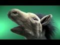 SillyPuppet Horse - Trailer