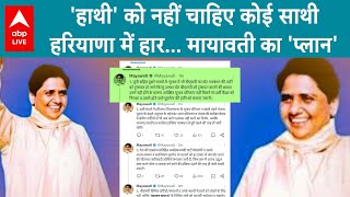 Haryana के नतीजों के बाद Mayawati का बड़ा ऐलान..अब क्षेत्रीय पार्टियों से गठबंधन नहीं...।ABP Live