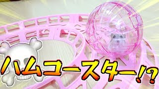 ハムスター の形をした 家 本物の ハムスター 入ったら 超 かわいい アイロンビーズでお家作ってみた Diy