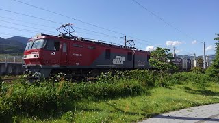 【2019/05/29】3058ﾚ(帯広貨物→隅田川)