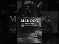 第一弾オーディションソング”one of one” mad dog out now