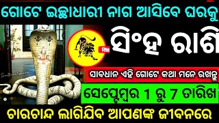 ସିଂହ ରାଶି ସେପ୍ଟେମ୍ବର 1 ରୁ 7 ତାରିଖ ଗୋଟେ ଇଛାଧାରୀ ନାଗ ଆସିବେ ଘରକୁ ଚାରଚାନ୍ଦ ଲାଗିବ ଆପଣଙ୍କ ଜୀବନରେ ଦେଖନ୍ତୁ